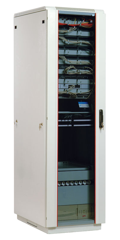 Шкаф напольный 19" 42U (2030 x 600 x 800) ЦМО