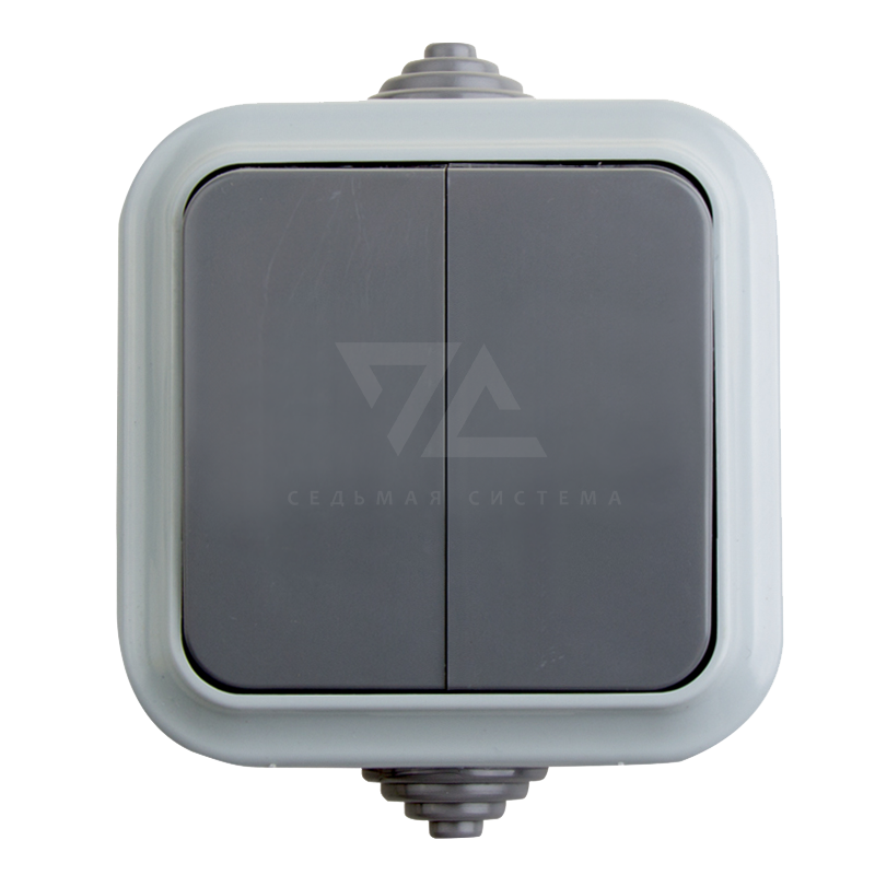 Выключатель двухклавишный влагозащищенный открытой установки Rexant, IP 54, 10 A